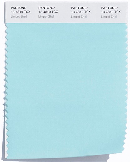 Pantone - Limpet Shell